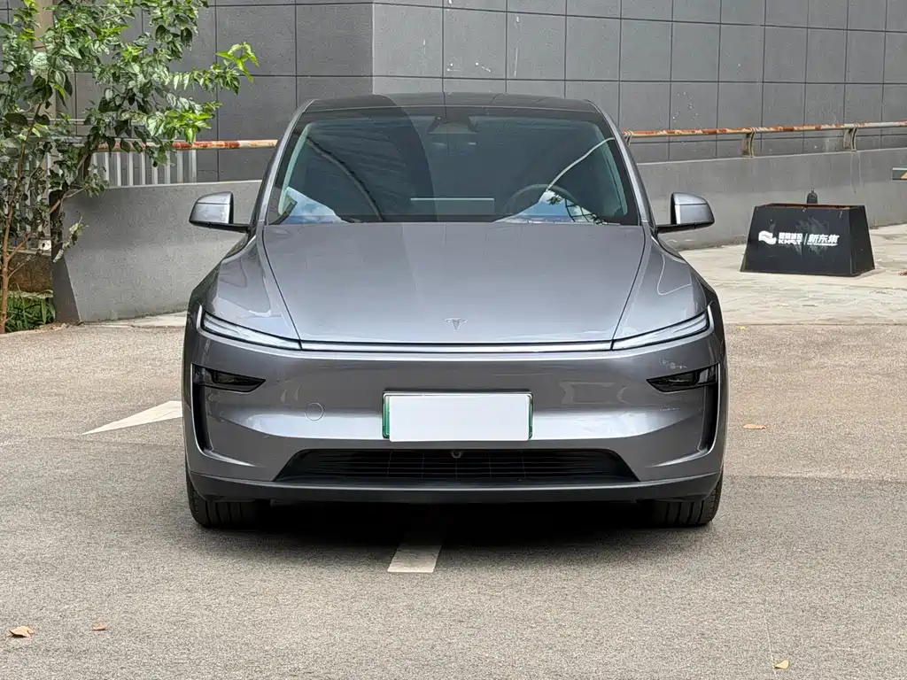 Tesla Model Y — миниатюра 2