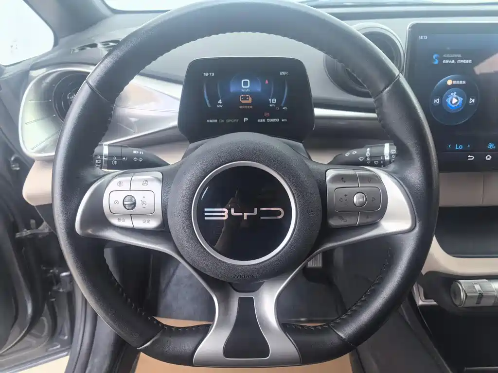 BYD Dolphin 2023 420km Fashion