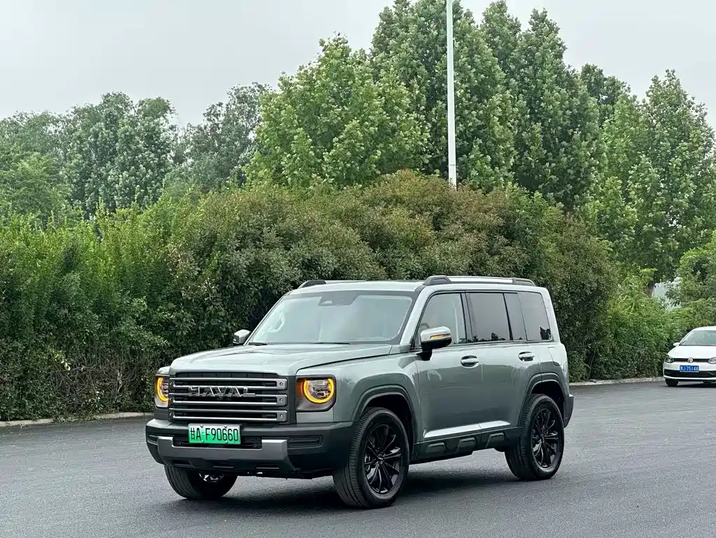 Haval Menglong New Energy 2024
