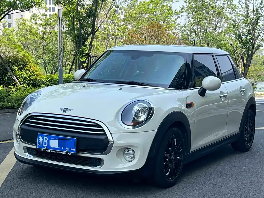Mini Mini 2019