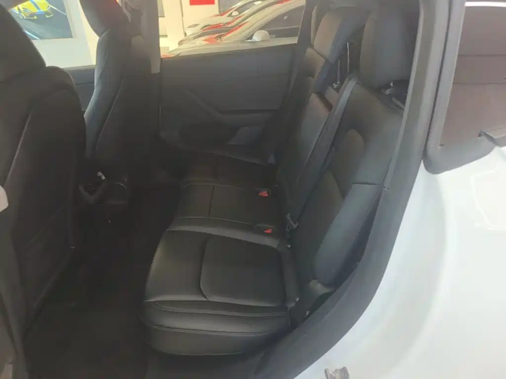 Tesla Model Y — миниатюра 17