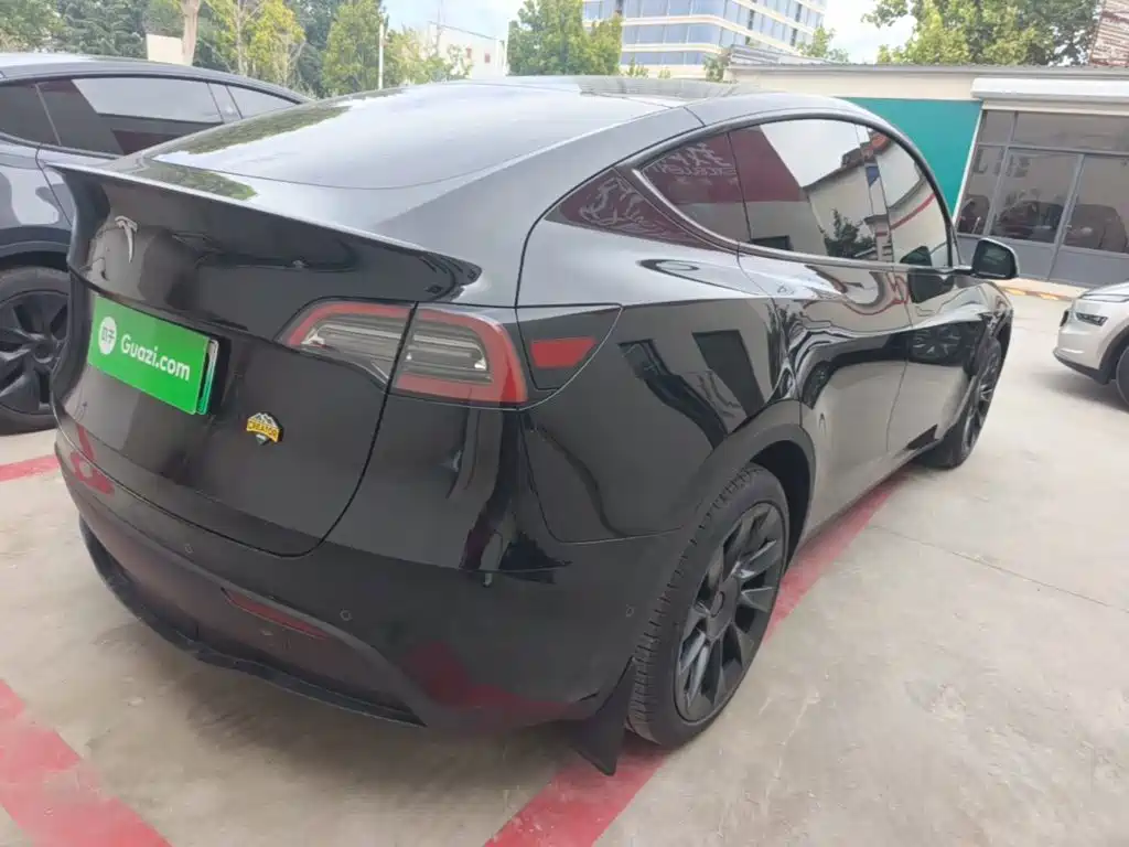 Tesla Model Y — миниатюра 7
