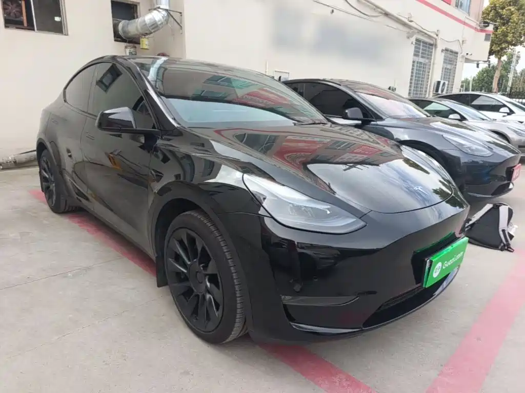 Tesla Model Y — миниатюра 4