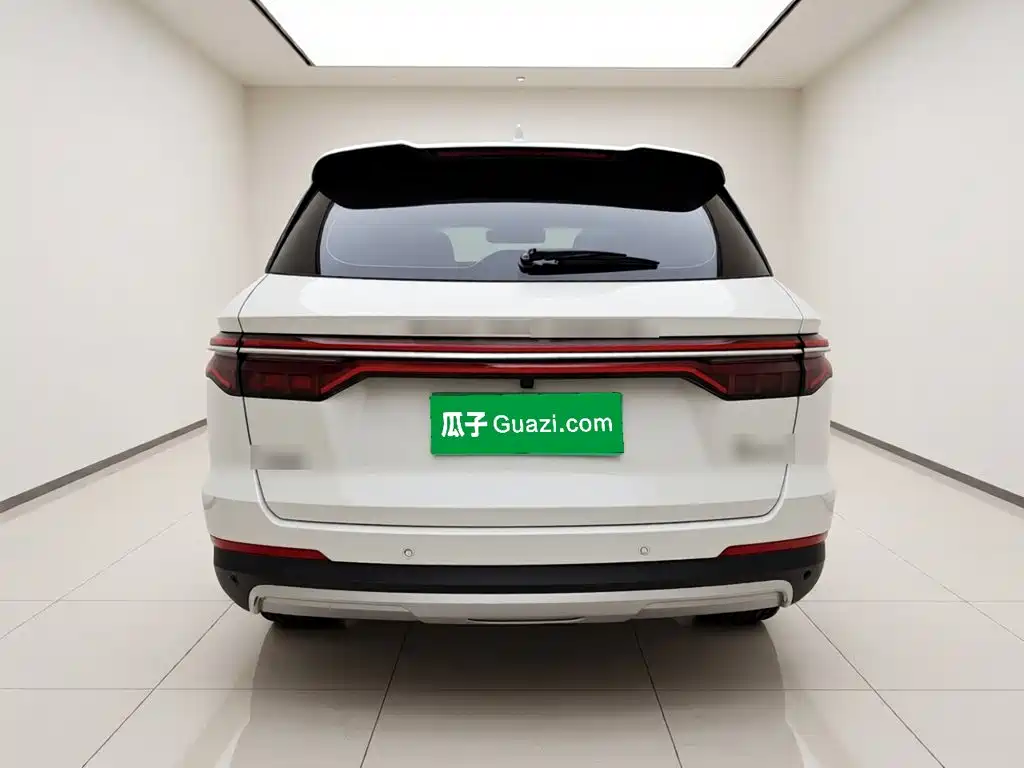 BYD Pro — миниатюра 5