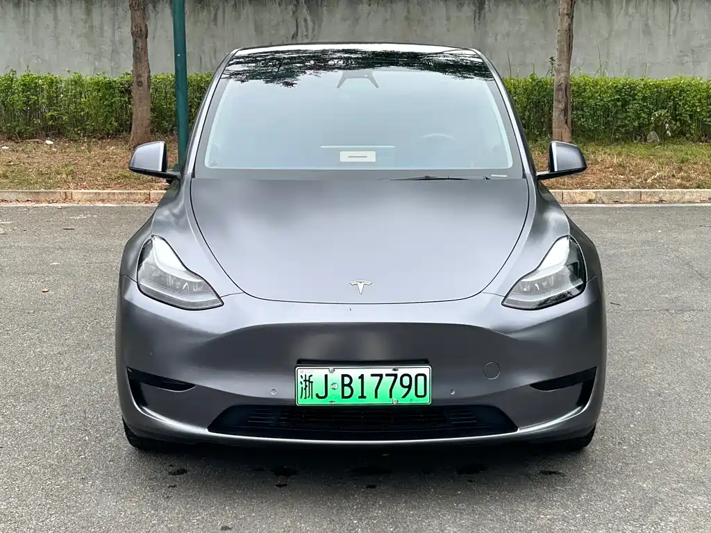 Tesla Model Y — миниатюра 2