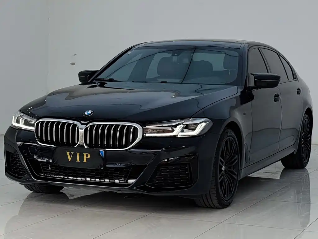 BMW 5 Series — миниатюра 3