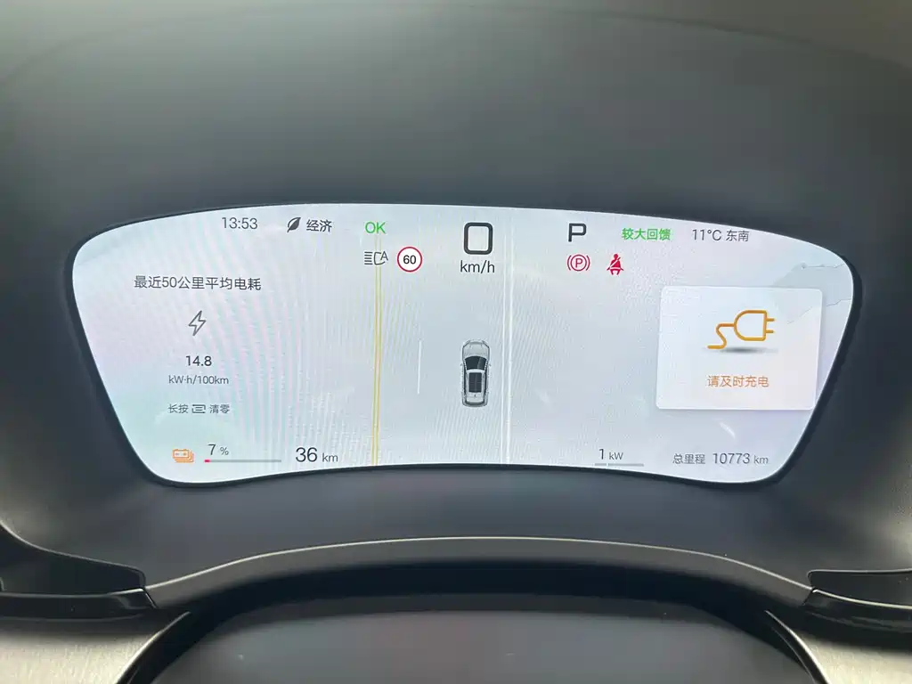 BYD SONGJIANG NEW ENERGY