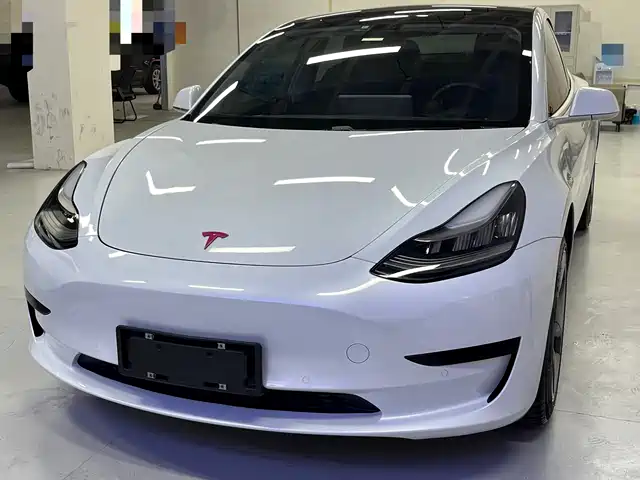 TESLA MODEL 3 2020