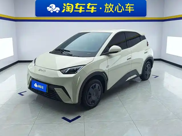 2024 BYD Seagull
