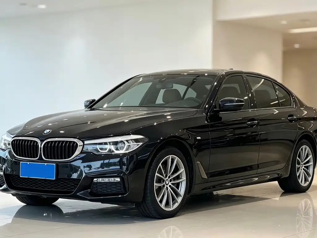 BMW 5 Series — миниатюра 2
