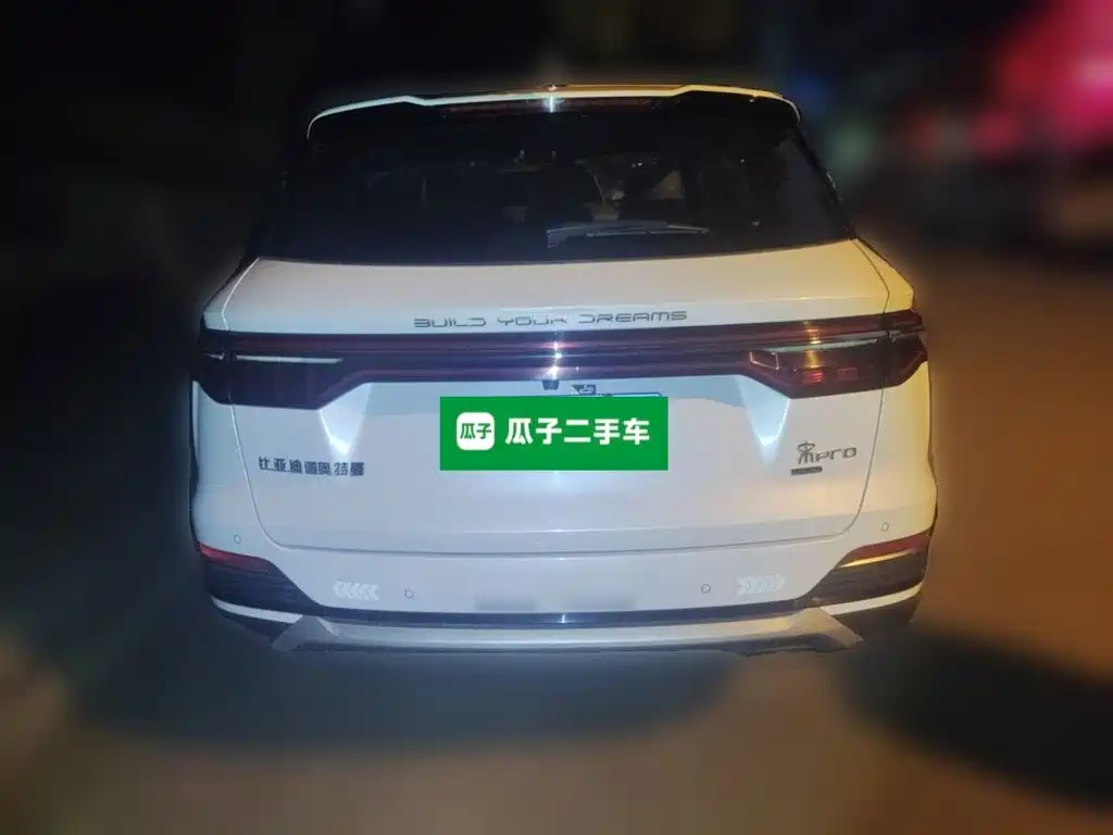 BYD Pro — миниатюра 3