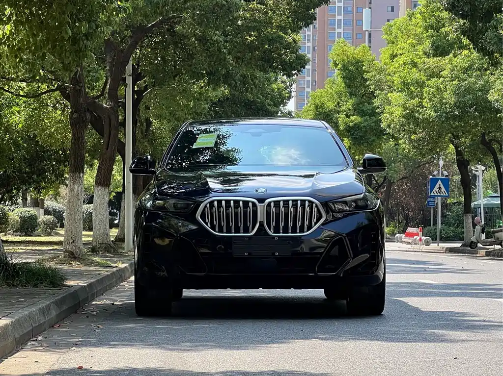 BMW X6 2023 xDrive30i M Sport