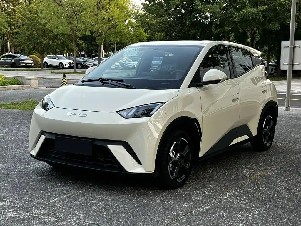 BYD Seagull