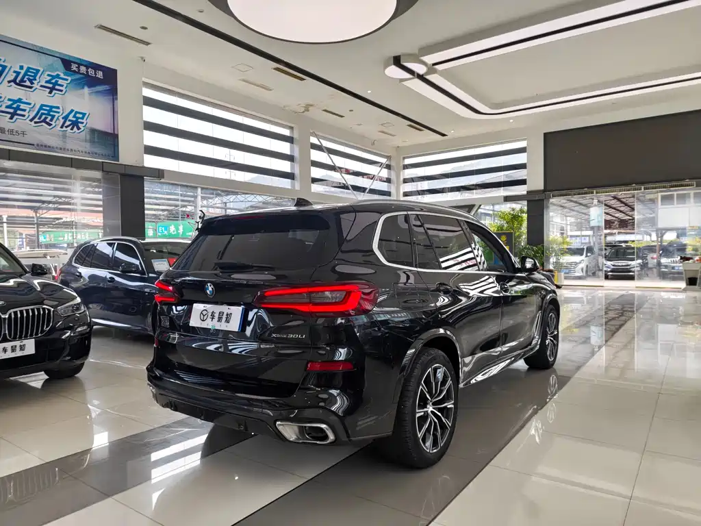 BMW X5 xDrive 30Li Premium Type M Sport Package, фото 6