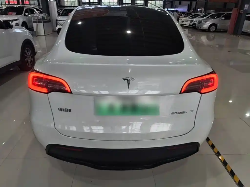 Tesla Model Y — миниатюра 4