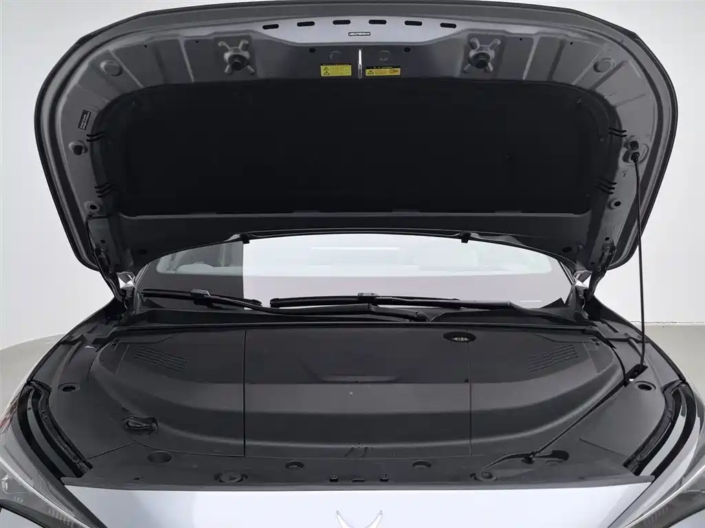 ARCFOX EXTREME FOX POLAR FOX ALPHA S5