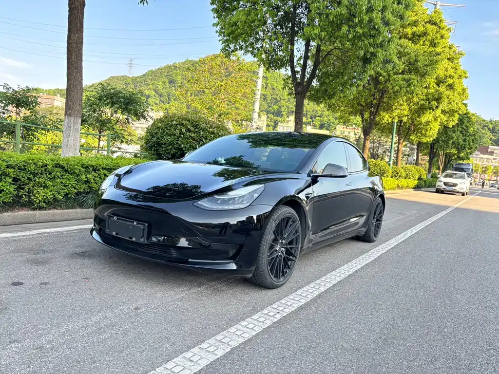 Tesla Model 3 2020
