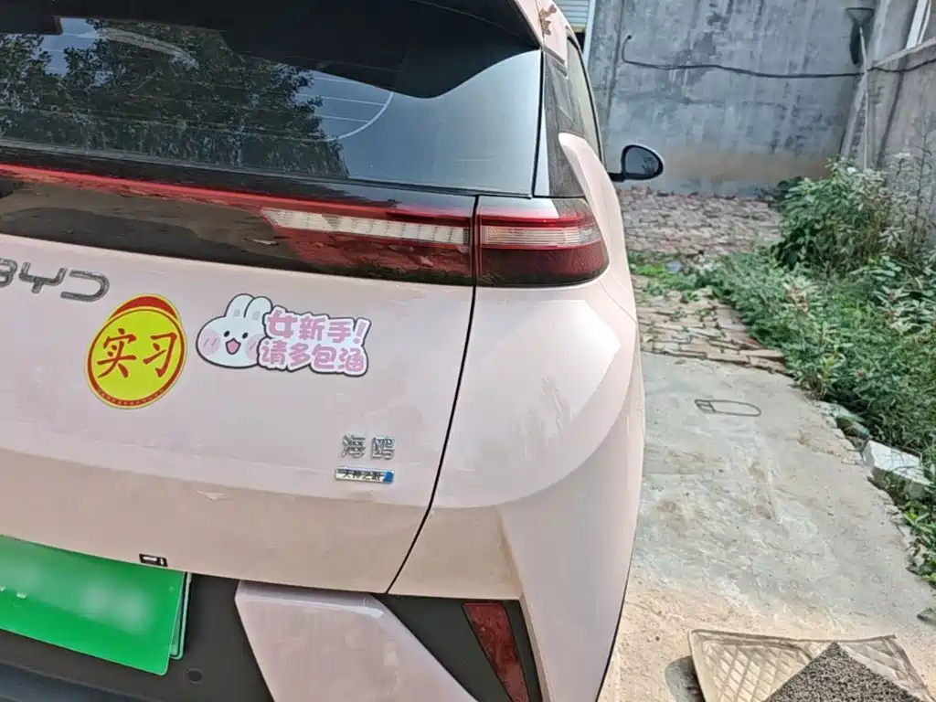 BYD Seagull — миниатюра 8