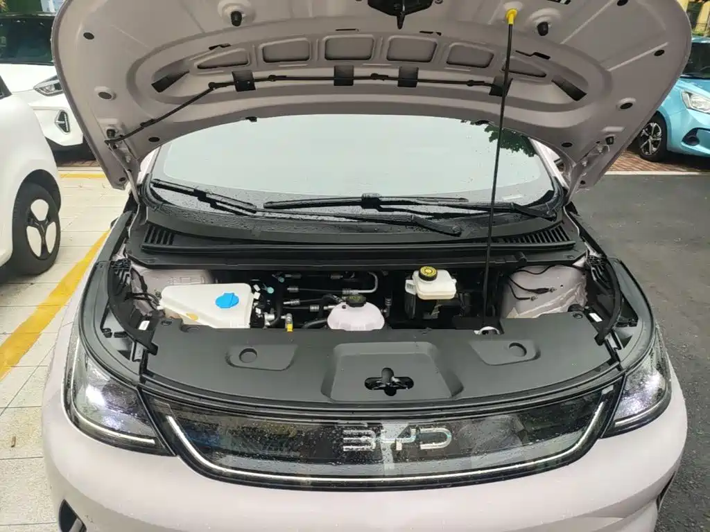 BYD Dolphin — миниатюра 20