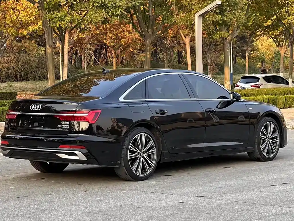 Audi A6L — миниатюра 13