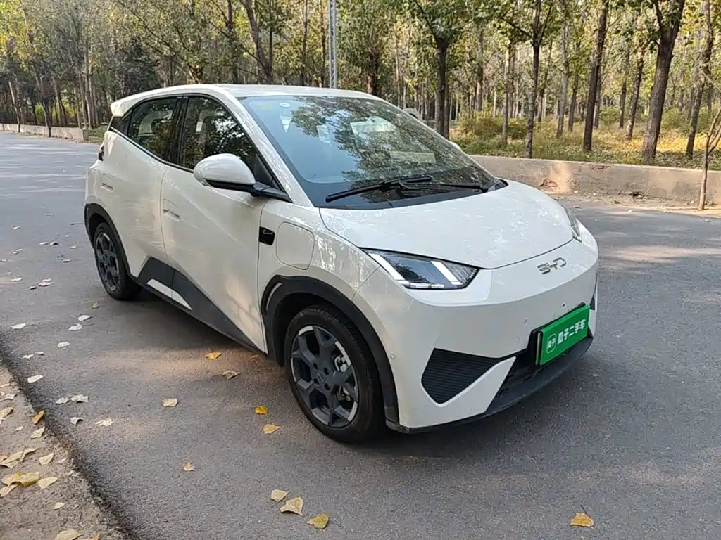 BYD Seagull — миниатюра 4