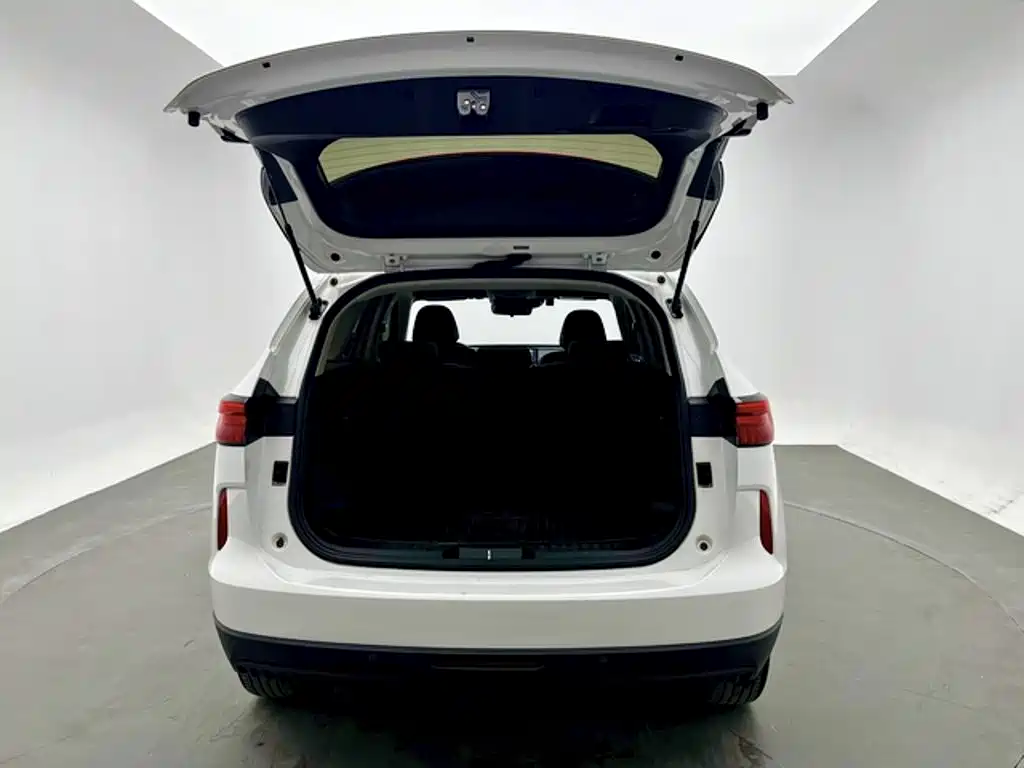 Haval H6 — миниатюра 8