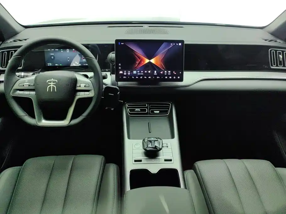 BYD Pro New Energy — миниатюра 12