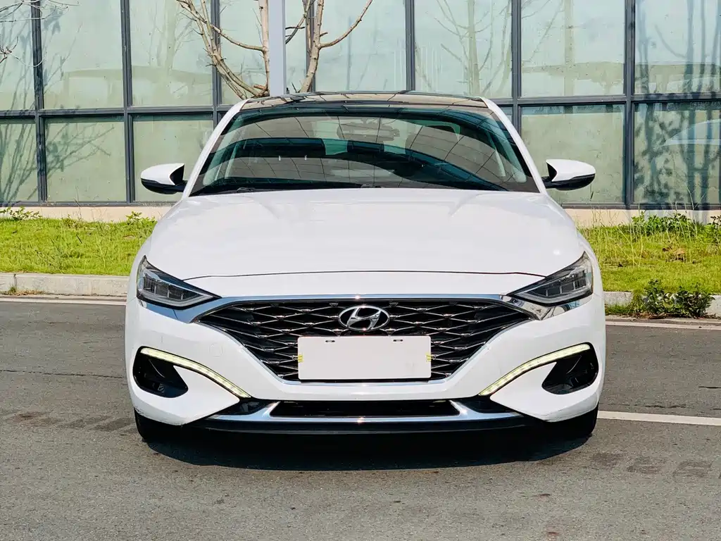 Hyundai Fista — миниатюра 2