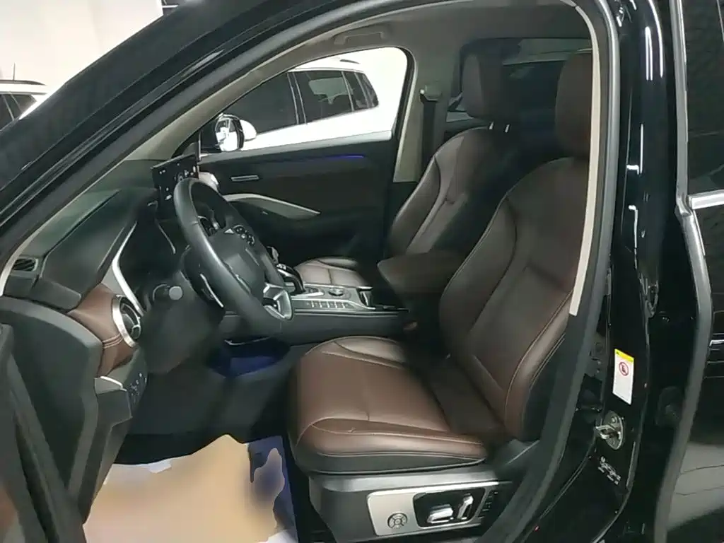 Wey Wey VV6 — миниатюра 15