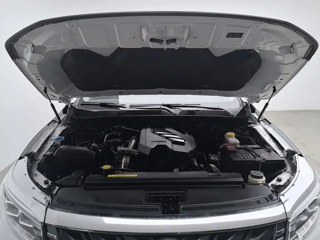 Dongfeng Rich 7 — миниатюра 6