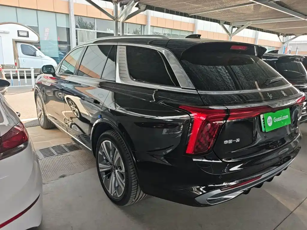 Hongqi Hongqi E-HS9 — миниатюра 5