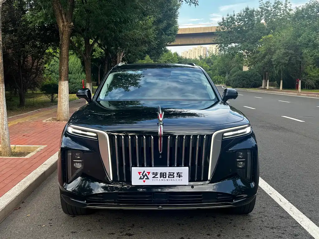 Hongqi Hongqi E-HS9 — миниатюра 2
