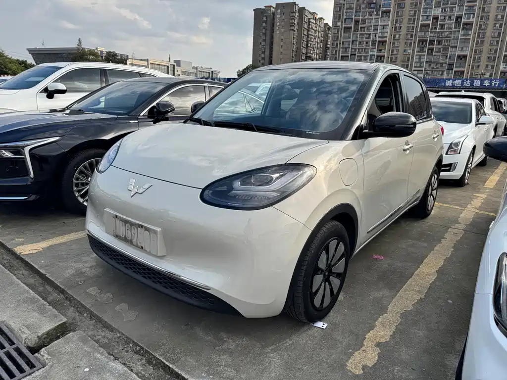 Wuling Bingo