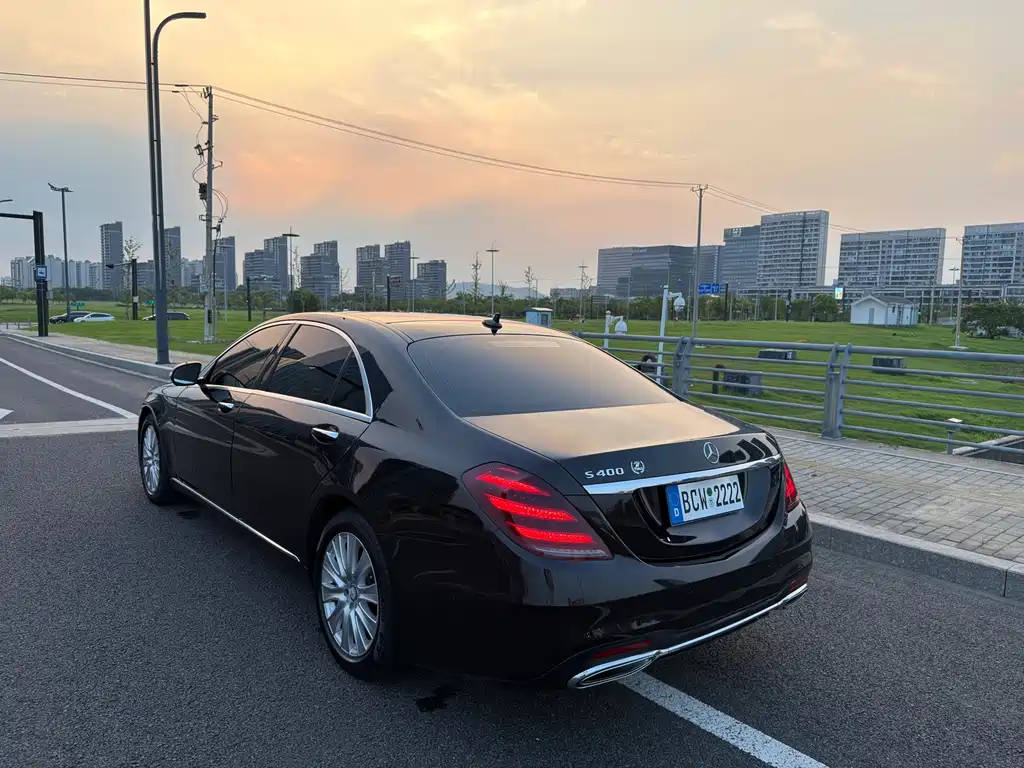 Mercedes-Benz S-Class S 320 L Luxury Type, фото 28