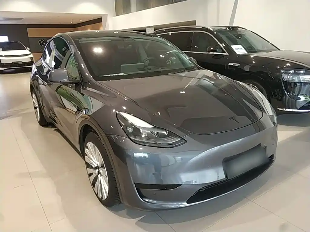 Tesla Model Y — миниатюра 4