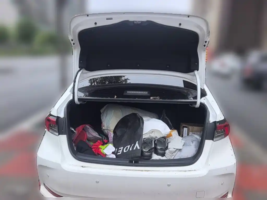Toyota Corolla — миниатюра 20