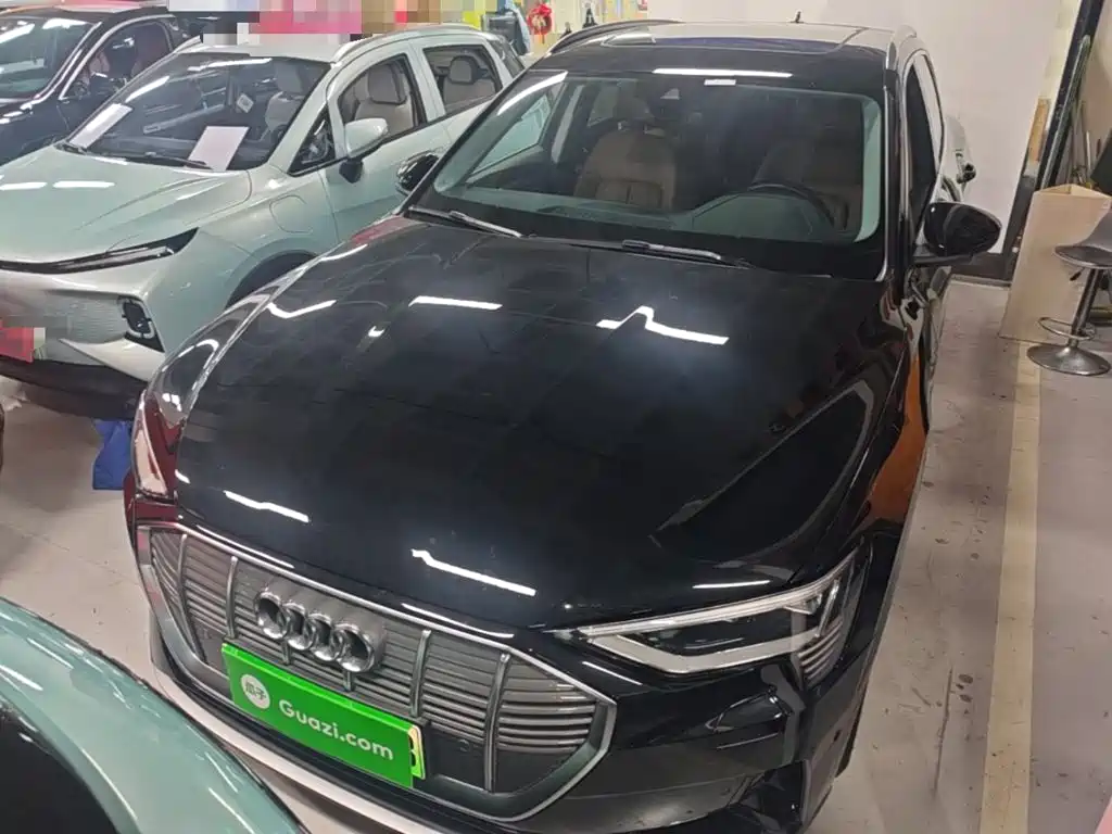 Audi e-tron (Import) — миниатюра 3