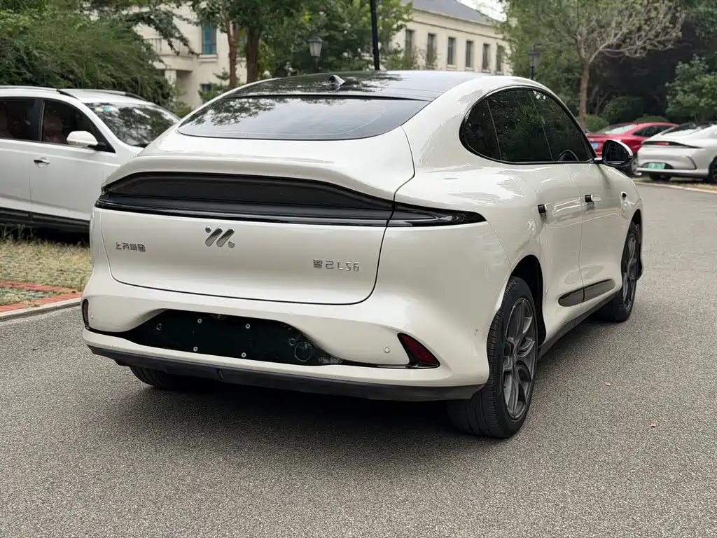 IM IM LS6 — миниатюра 11