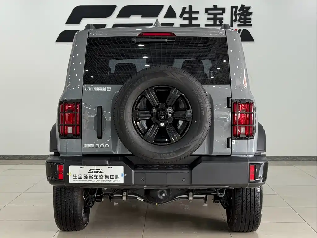 Tank 300 2025 2.0T