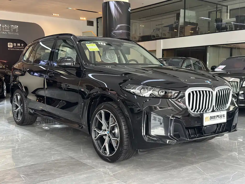 BMW X5 — миниатюра 3