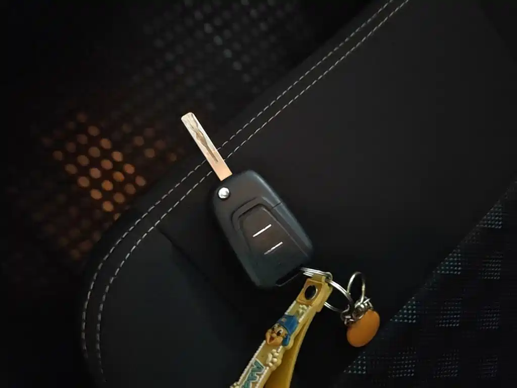 MAXUS V80 — миниатюра 9