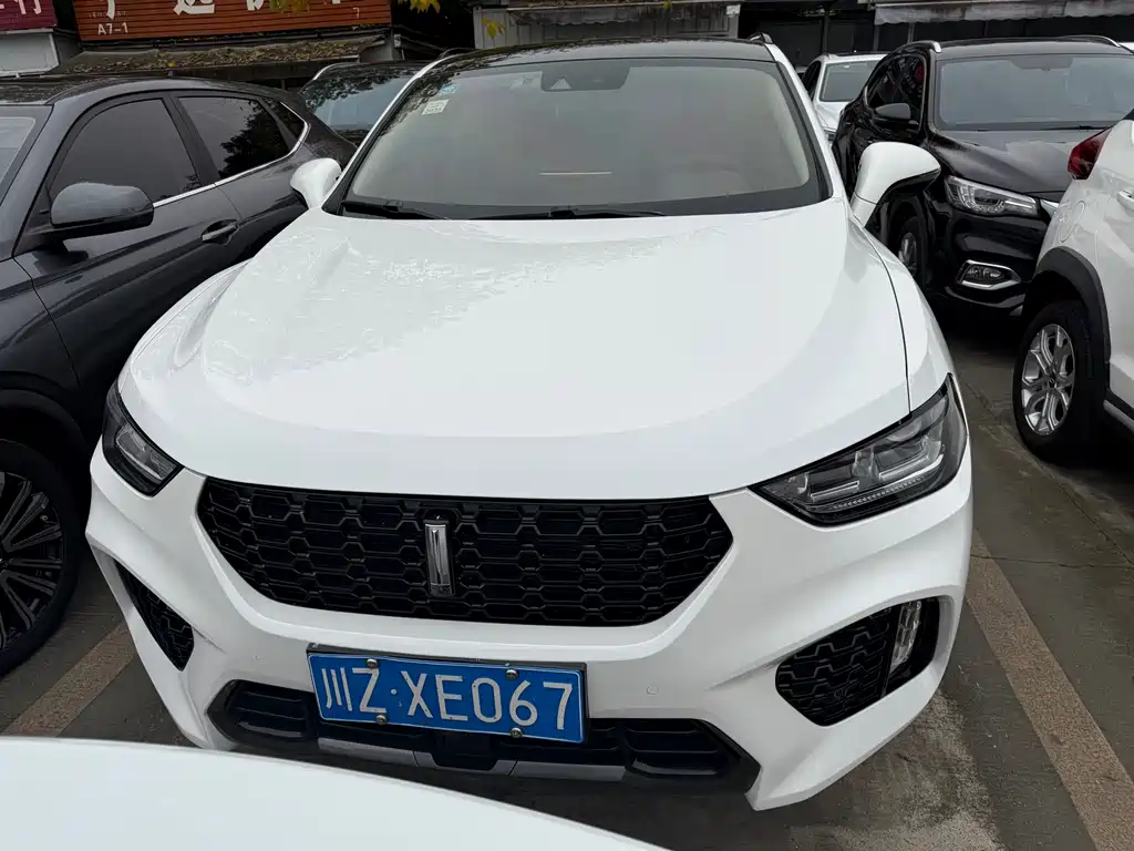 WEI PAI WEI BRAND VV5