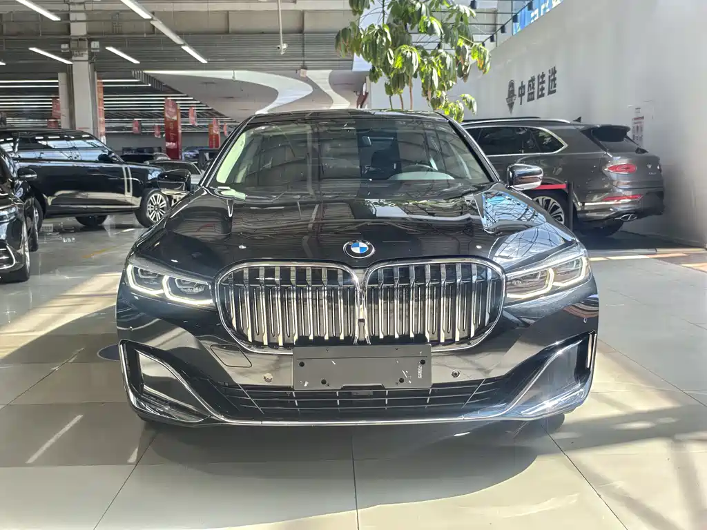 BMW 7 Series 7 2021 730Li Luxury