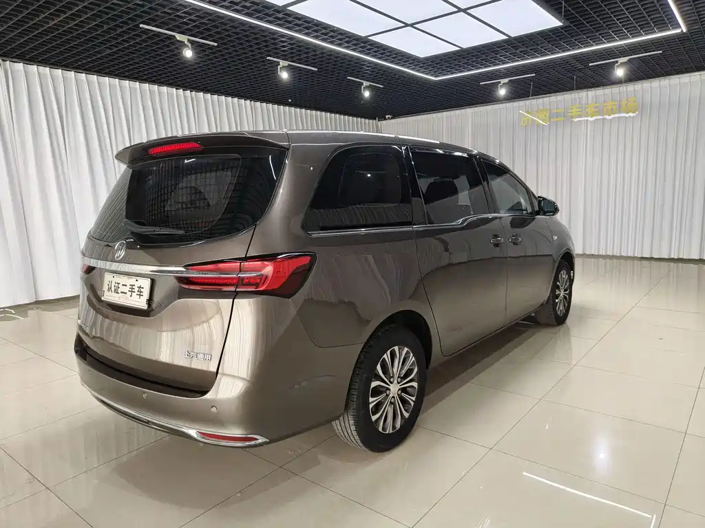 Buick GL8 — миниатюра 5