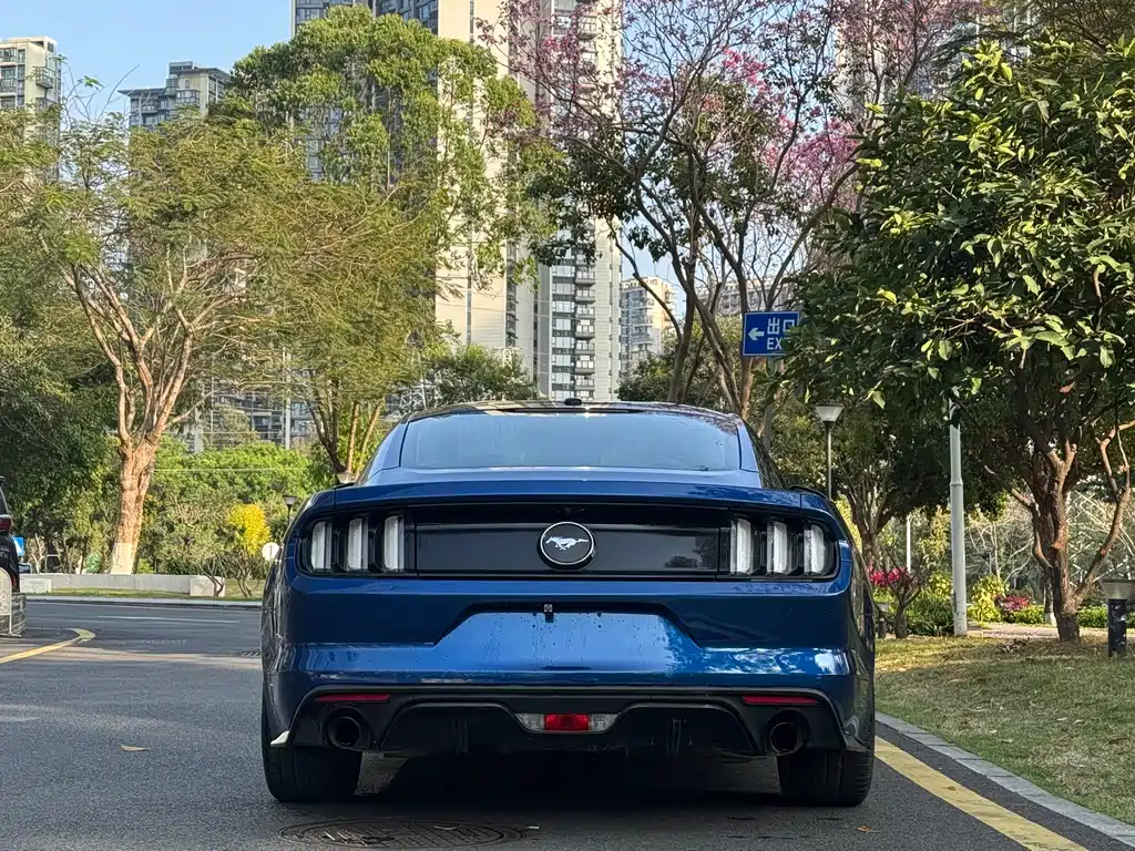FORD MUSTANG