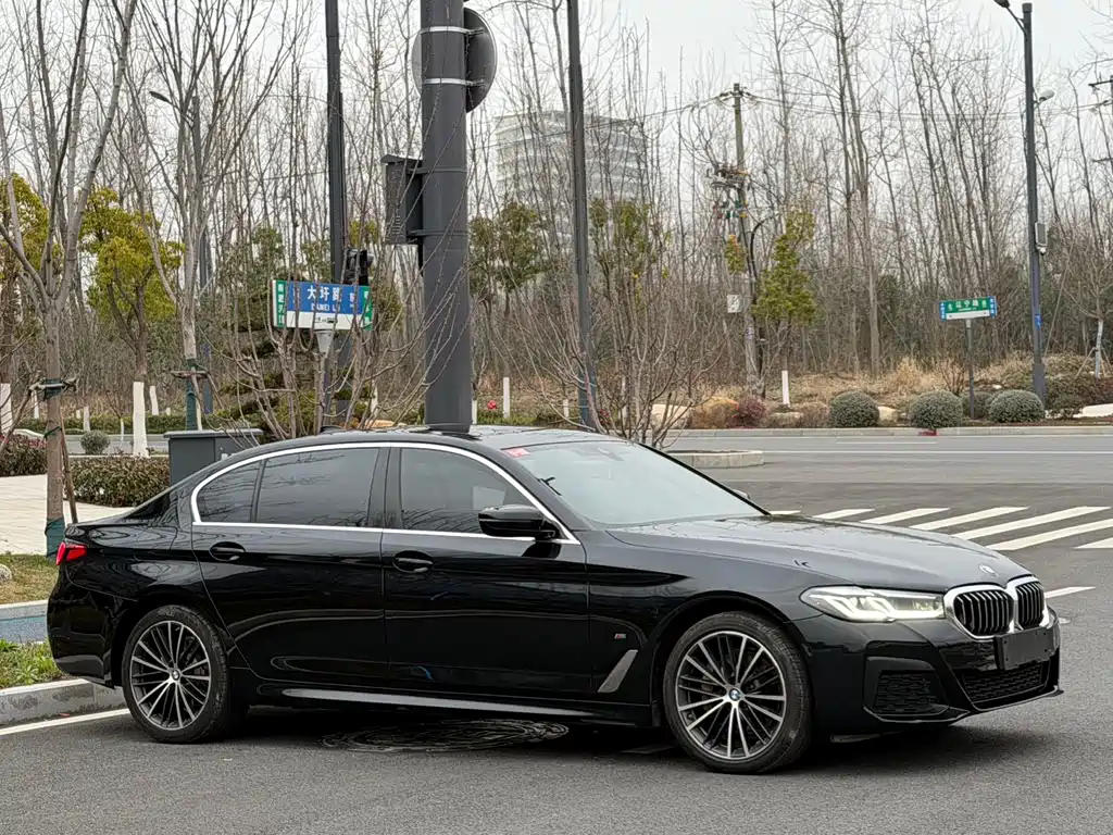 BMW 5 Series 5 2021 530Li Lead M Sport