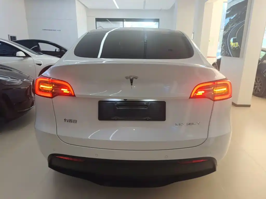 Tesla Model Y — миниатюра 6