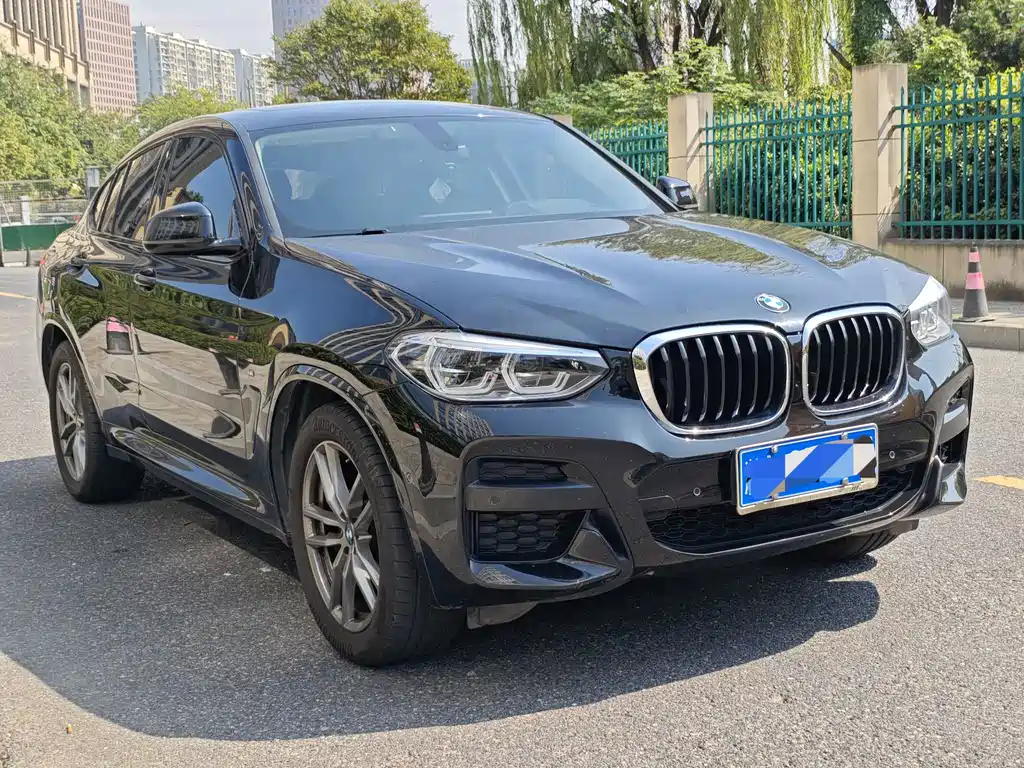 BMW X4 — миниатюра 3
