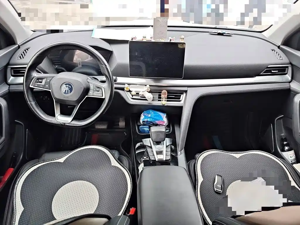 BYD Pro — миниатюра 10