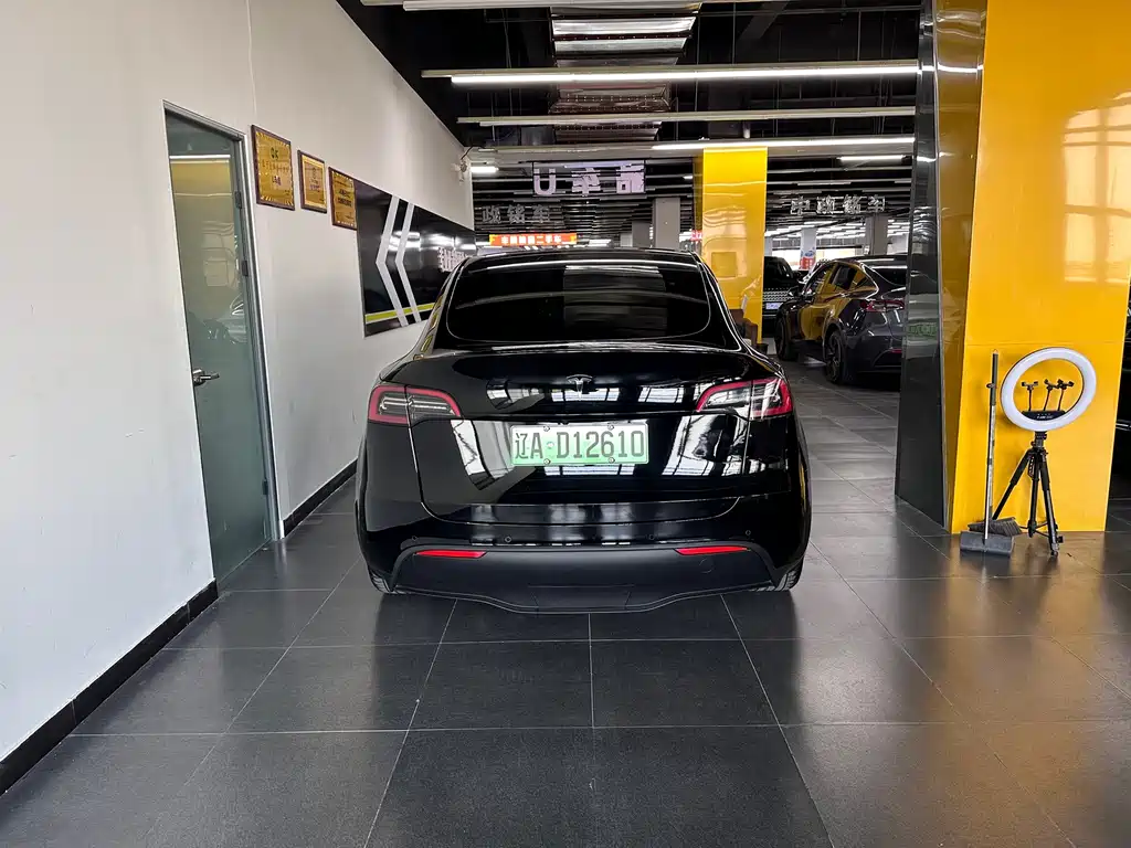 Tesla Model Y — миниатюра 9